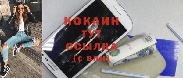 прущий лед Михайлов