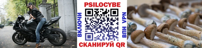 MEGA рабочий сайт  Приволжский  Псилоцибиновые грибы ЛСД 